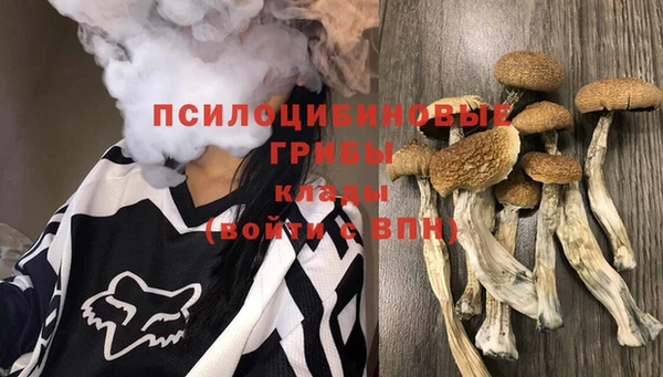 гашик Белоозёрский