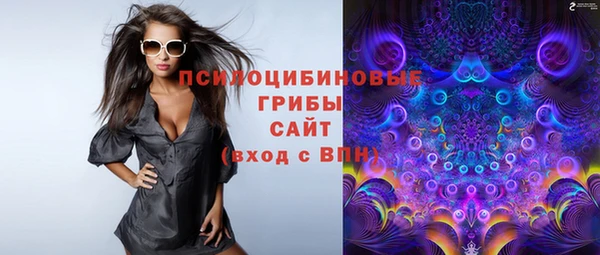 гашик Белоозёрский