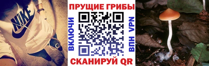 наркота  Сегежа  Галлюциногенные грибы MAGIC MUSHROOMS 
