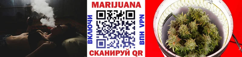 купить закладку Сегежа Канабис конопля